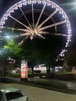 2024 Donaukreuzfahrt: Budapest - Riesenrad &ndash; &copy; Dieter Braune (Eberhardt TRAVEL)