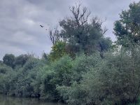 2024 Donaukreuzfahrt: Donaudelta - Natur pur &ndash; &copy; Dieter Braune (Eberhardt TRAVEL)