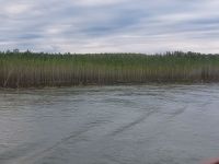 2024 Donaukreuzfahrt: rumänisches Donauufer &ndash; &copy; Dieter Braune (Eberhardt TRAVEL)