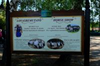 Auf in die Puszta