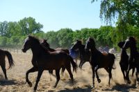 Jung und wild &ndash; &copy; Andreas Kunzmann (Eberhardt TRAVEL)