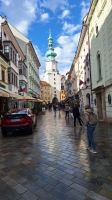 Blick in die Altstadt