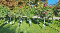 20260925_100050.jpg &ndash; &copy; Andreas Kunzmann (Eberhardt TRAVEL)