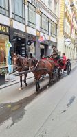 Die Fiaker sind immer unterwegs &ndash; &copy; Andreas Kunzmann (Eberhardt TRAVEL)