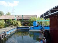 Donaudelta &ndash; &copy; Steffi Zimmermann (Eberhardt TRAVEL)