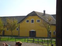 Puszta &ndash; &copy; Inge Bily (Eberhardt TRAVEL)