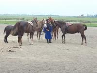 Reitershow &ndash; &copy; Sylvia Lehnort (Eberhardt TRAVEL)