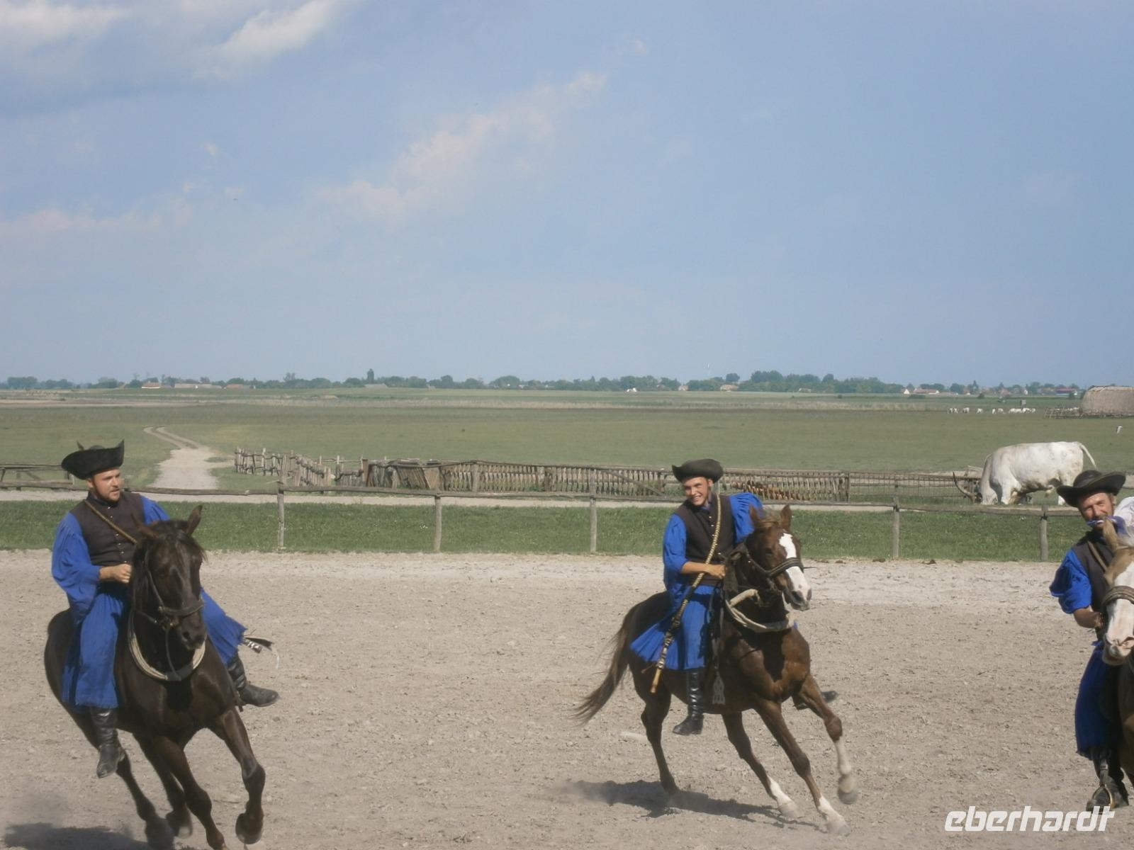  tollkühne Reiter &ndash; &copy; Adelheid Fritzsche (Eberhardt TRAVEL)