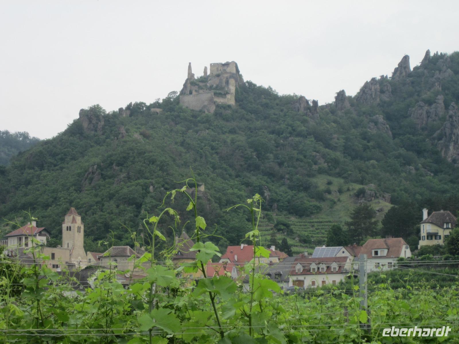  in der Wachau &ndash; &copy; Adelheid Fritzsche (Eberhardt TRAVEL)