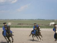  tollkühne Reiter &ndash; &copy; Adelheid Fritzsche (Eberhardt TRAVEL)