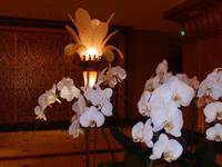 224 Abu Dhabi - Emirates Palace Hotel &ndash; &copy; Patrick Fritzsche (Eberhardt TRAVEL)