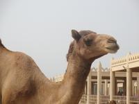 Bitte recht freundlich! &ndash; &copy; Christine Paulan (Eberhardt TRAVEL)