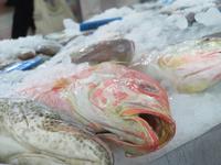 AbuDabi Fischmarkt &ndash; &copy; Kathrin Mickan (Eberhardt TRAVEL)