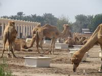 IMG_1979 &ndash; &copy; Kathrin Mickan (Eberhardt TRAVEL)