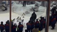 Mall of Emirates Skihalle &ndash; &copy; Kathrin Mickan (Eberhardt TRAVEL)