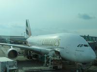 unser A380 &ndash; &copy; Kathrin Mickan (Eberhardt TRAVEL)