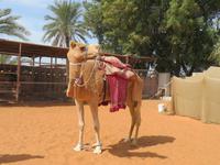 Heritage Village &ndash; &copy; Bianca Demmer (Eberhardt TRAVEL)