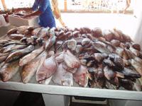 Fischmarkt &ndash; &copy; Susann Schmiedel (Eberhardt TRAVEL)