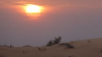 Wüstensafari &ndash; &copy; Frank Nimschowski (Eberhardt TRAVEL)