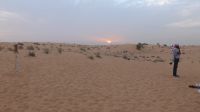 Wüstensafari &ndash; &copy; Frank Nimschowski (Eberhardt TRAVEL)