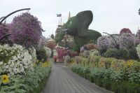 Dubai Miracle Garden &ndash; &copy; Frank Nimschowski (Eberhardt TRAVEL)
