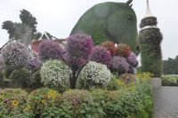 Dubai Miracle Garden &ndash; &copy; Frank Nimschowski (Eberhardt TRAVEL)