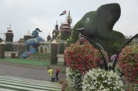 Dubai Miracle Garden &ndash; &copy; Frank Nimschowski (Eberhardt TRAVEL)