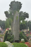 Dubai Miracle Garden &ndash; &copy; Frank Nimschowski (Eberhardt TRAVEL)