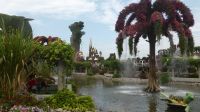 Dubai Miracle Garden &ndash; &copy; Frank Nimschowski (Eberhardt TRAVEL)
