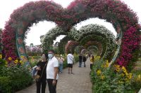 Dubai Miracle Garden &ndash; &copy; Frank Nimschowski (Eberhardt TRAVEL)