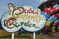 Dubai Butterfly Garden &ndash; &copy; Frank Nimschowski (Eberhardt TRAVEL)