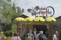 Dubai Butterfly Garden &ndash; &copy; Frank Nimschowski (Eberhardt TRAVEL)