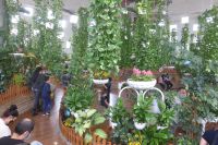 Dubai Butterfly Garden &ndash; &copy; Frank Nimschowski (Eberhardt TRAVEL)
