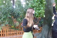 Dubai Butterfly Garden &ndash; &copy; Frank Nimschowski (Eberhardt TRAVEL)