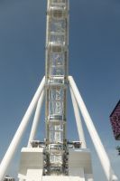 Riesenrad Ain Dubai (Dubai Eye) &ndash; &copy; Frank Nimschowski (Eberhardt TRAVEL)