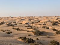 Wüstentour im Landrover &ndash; &copy; Patrick Fritzsche (Eberhardt TRAVEL)