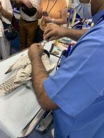Abu Dhabi - Falkenkrankenhaus &ndash; &copy; Patrick Fritzsche (Eberhardt TRAVEL)
