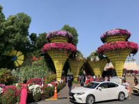 Dubai Miracle Gardens &ndash; &copy; Patrick Fritzsche (Eberhardt TRAVEL)