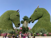 Dubai Miracle Gardens &ndash; &copy; Patrick Fritzsche (Eberhardt TRAVEL)