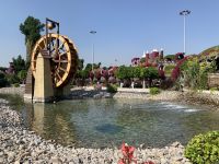 Dubai Miracle Gardens &ndash; &copy; Patrick Fritzsche (Eberhardt TRAVEL)