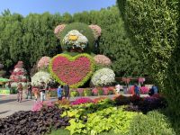 Dubai Miracle Gardens &ndash; &copy; Patrick Fritzsche (Eberhardt TRAVEL)