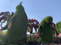 Dubai Miracle Gardens &ndash; &copy; Patrick Fritzsche (Eberhardt TRAVEL)