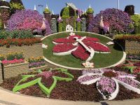 Dubai Miracle Gardens &ndash; &copy; Patrick Fritzsche (Eberhardt TRAVEL)
