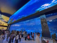 Dubai Mall - Aquarium &ndash; &copy; Jacob Spangenberg (Eberhardt TRAVEL)