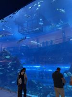 Dubai Mall - Aquarium &ndash; &copy; Jacob Spangenberg (Eberhardt TRAVEL)