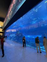 Dubai Mall - Aquarium &ndash; &copy; Jacob Spangenberg (Eberhardt TRAVEL)