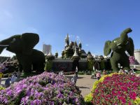 Dubai Mircale Garden &ndash; &copy; Jacob Spangenberg (Eberhardt TRAVEL)