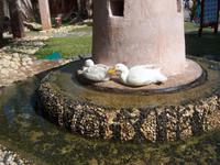 Heritage Village &ndash; &copy; Vicky Kern (Eberhardt TRAVEL)