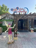 Butterfly Garden &ndash; &copy; Vicky Kern (Eberhardt TRAVEL)