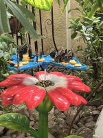 Butterfly Garden &ndash; &copy; Vicky Kern (Eberhardt TRAVEL)
